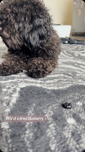 Chiko: I was told, Play with your food...Don't 👹