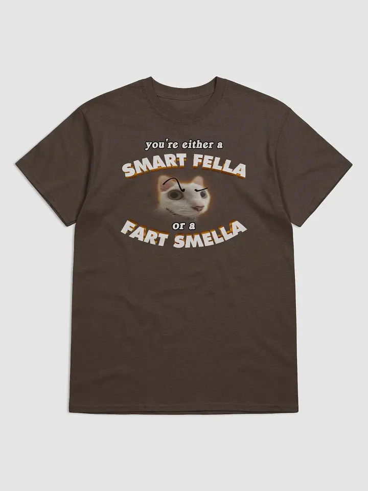 You're either a smart fella or a fart smella T-shirt product image (1)