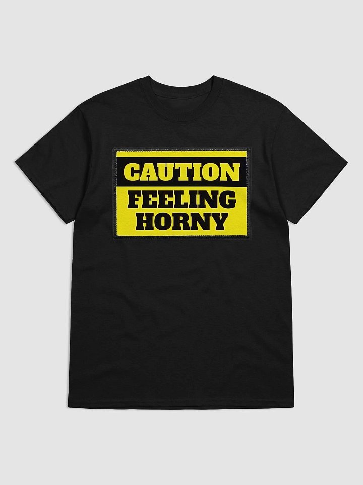 Satire Relaxed Tshirt (CFH) product image (1)