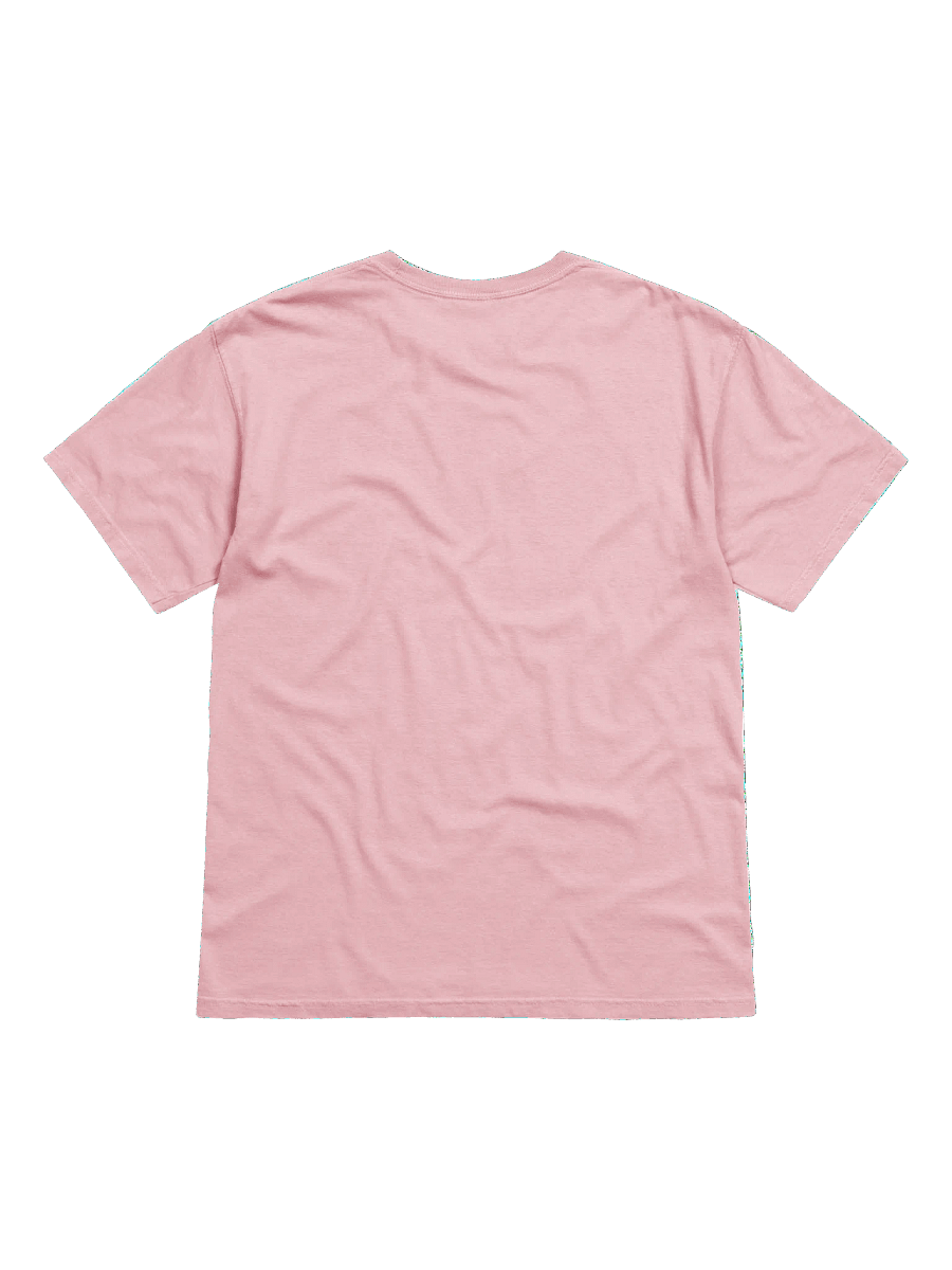 THE Swiftletgaming Tee product image (3)