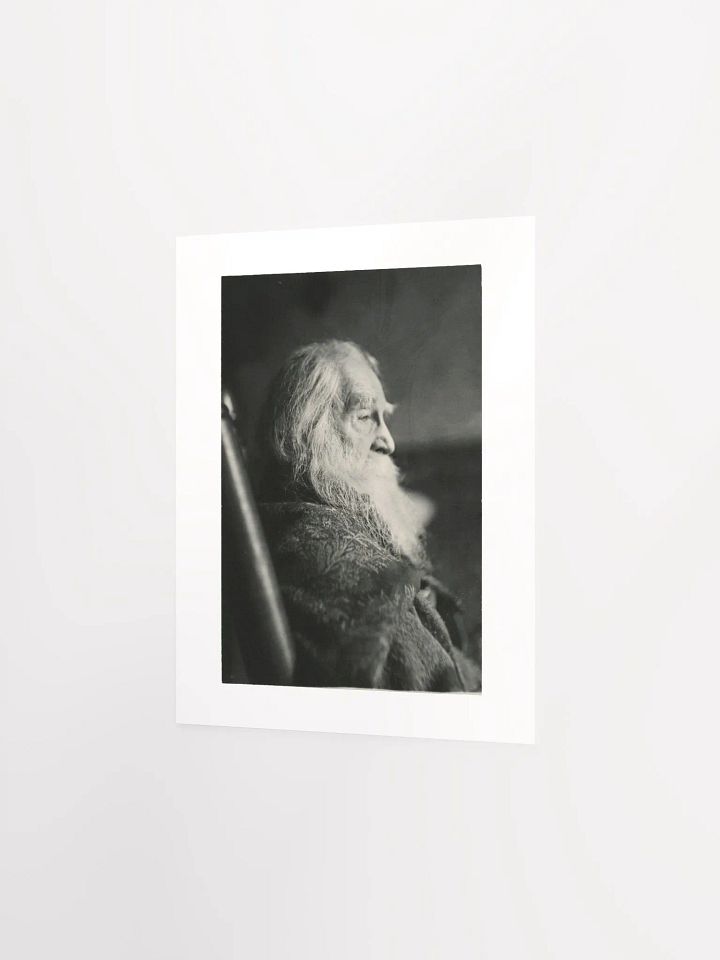 Walt Whitman in Camden, N.J. by Thomas Eakins - Print product image (2)