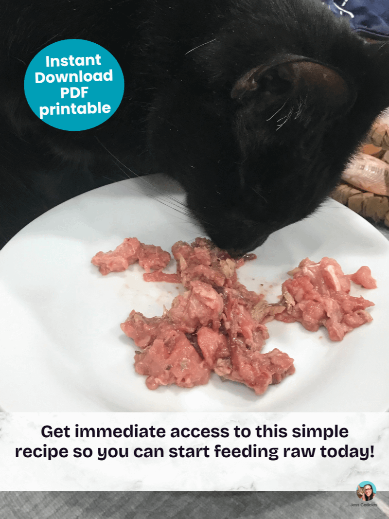 Turkey & chicken neck raw meaty bone cat food recipe ~ 1 recipe for adult cats product image (11)