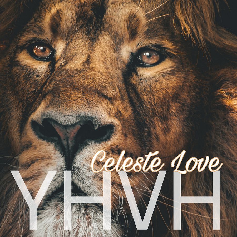 YHVH product image (1)