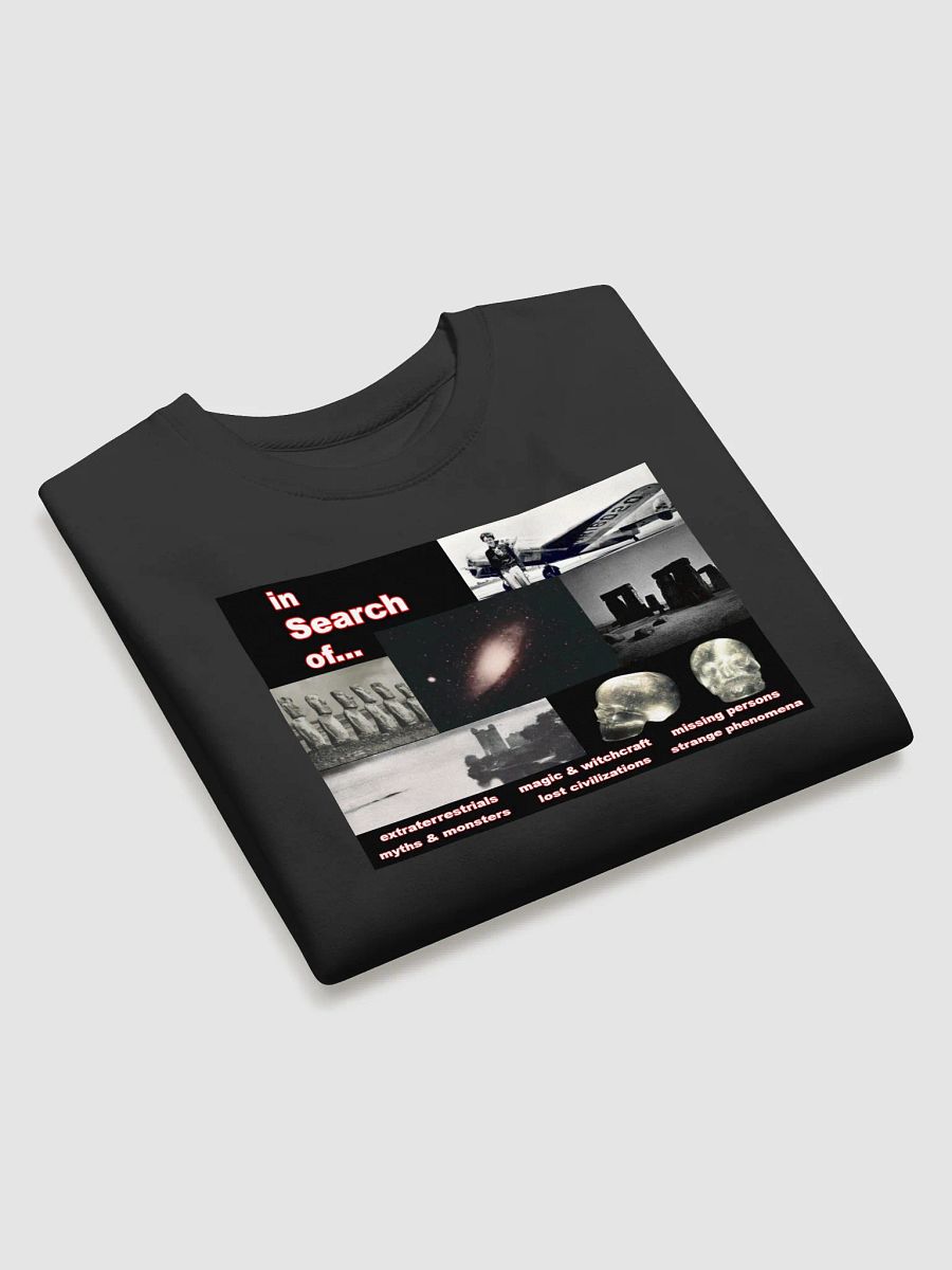 In Search Of... Sweatshirt product image (3)