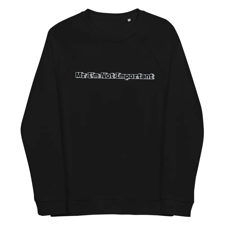 Unisex Organic Raglan Sweatshirt - Mr I'm Not Important product image (4)