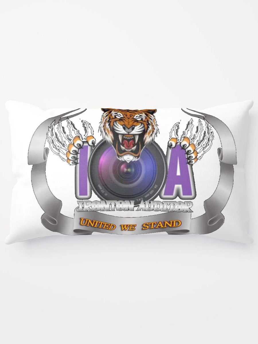 Ironton Auditor Pillow product image (10)