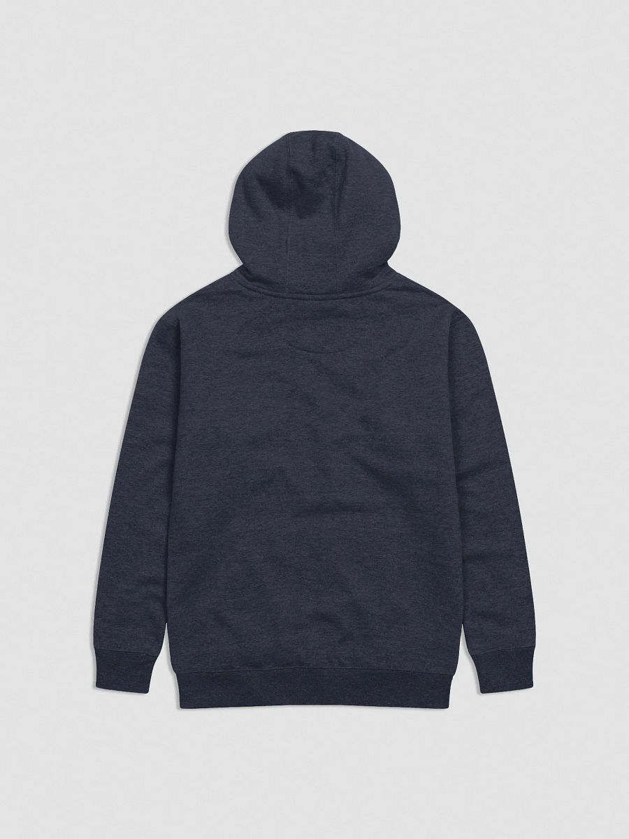 OEMish - Embroidered Hoodie product image (20)