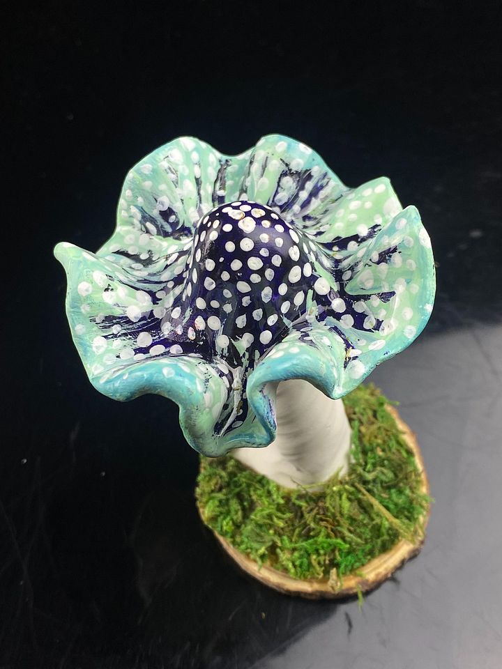 Snowcap Mushroom product image (2)