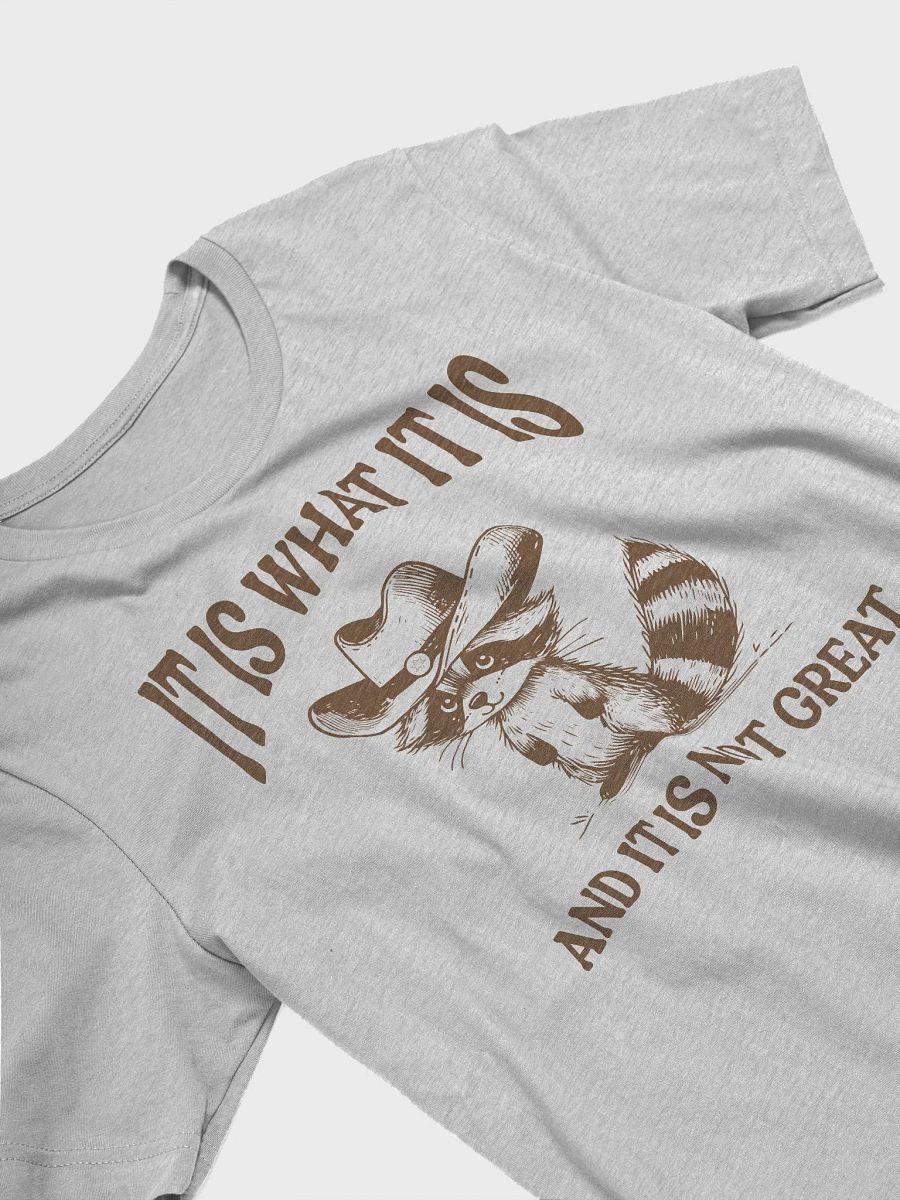It Is What It Is and It Is Not Great Funny Raccoon T-Shirt product image (3)