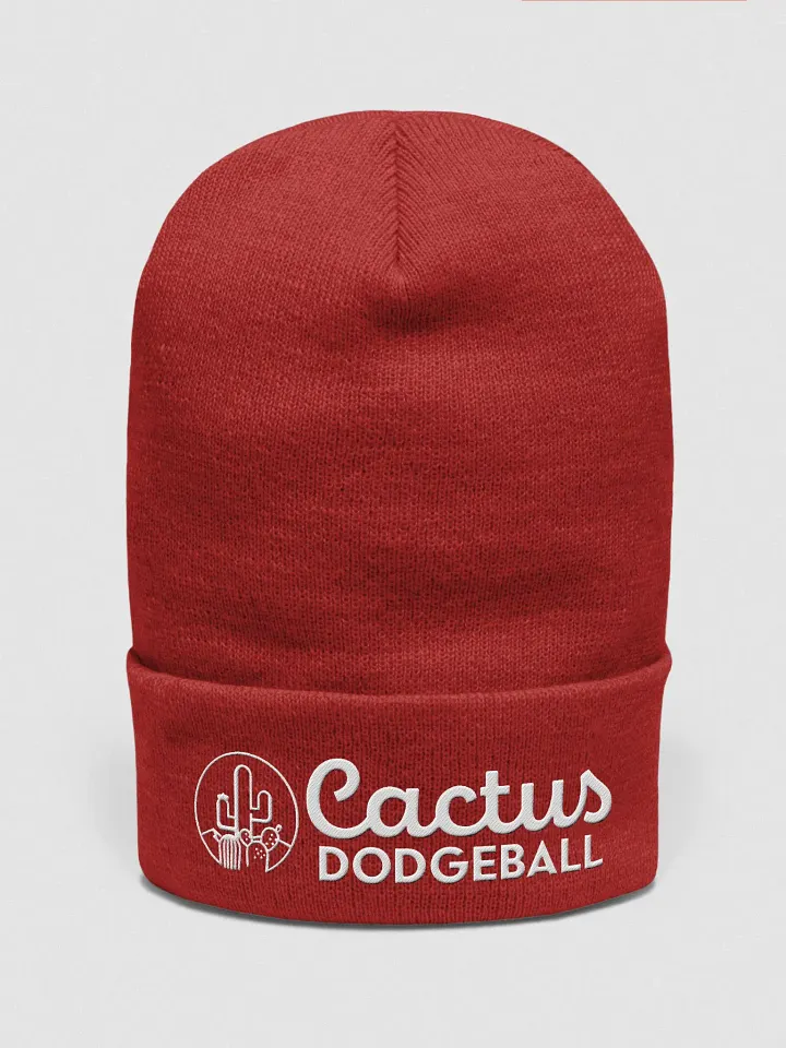 Cactus Dodgeball 