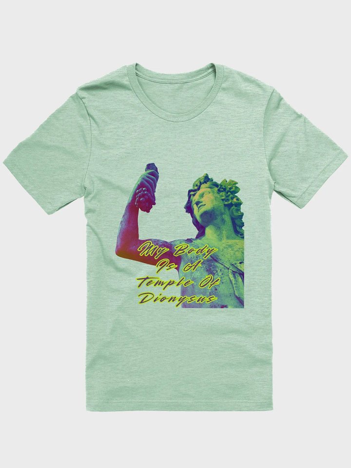 Temple of Dionysus T-Shirt product image (6)