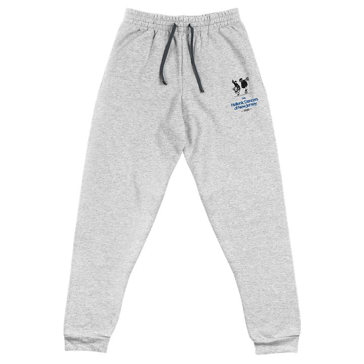 HDNJ Embroidered Joggers product image (1)