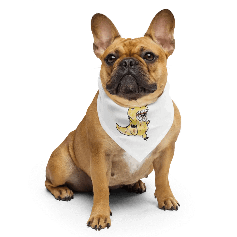 Kotasaurus Bandana product image (6)