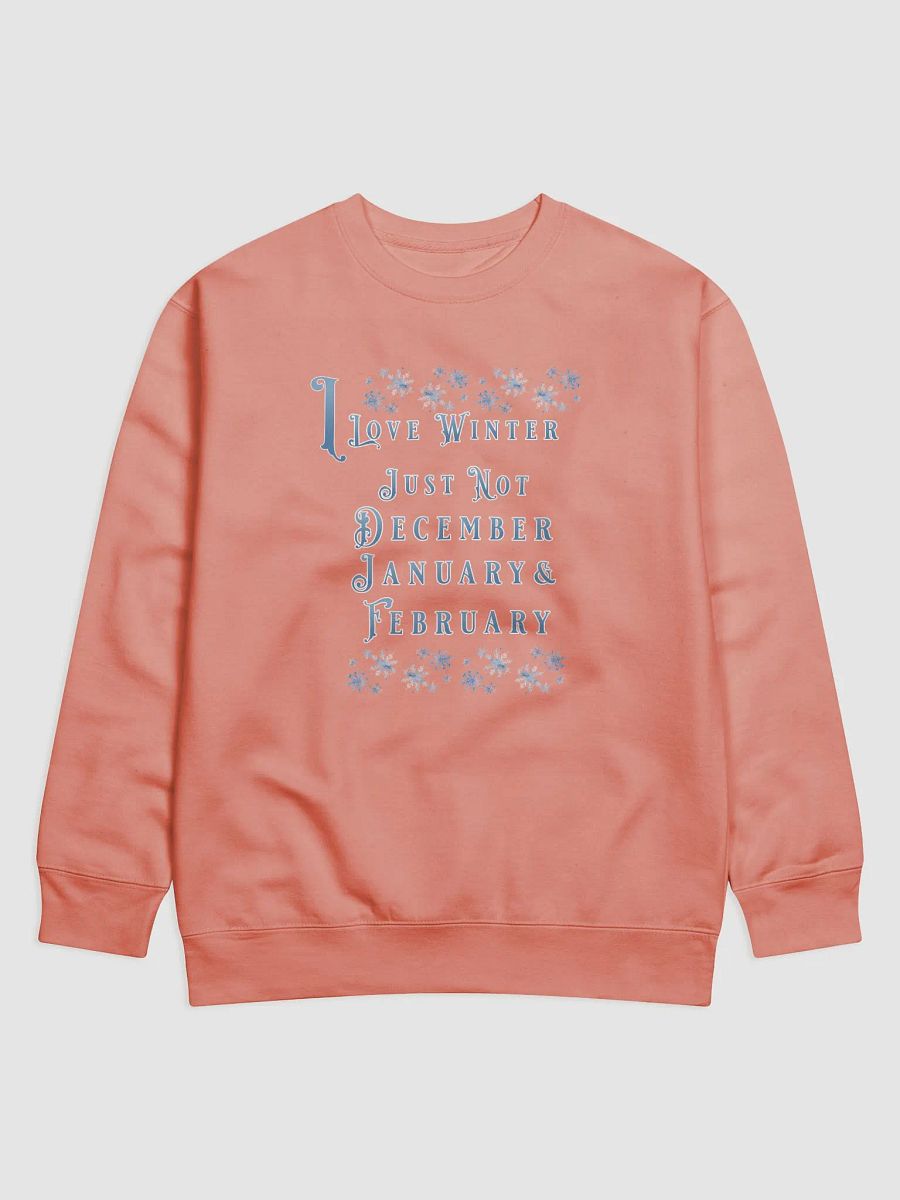 I Love Winter, Not Just December, January And February Sweatshirt product image (3)