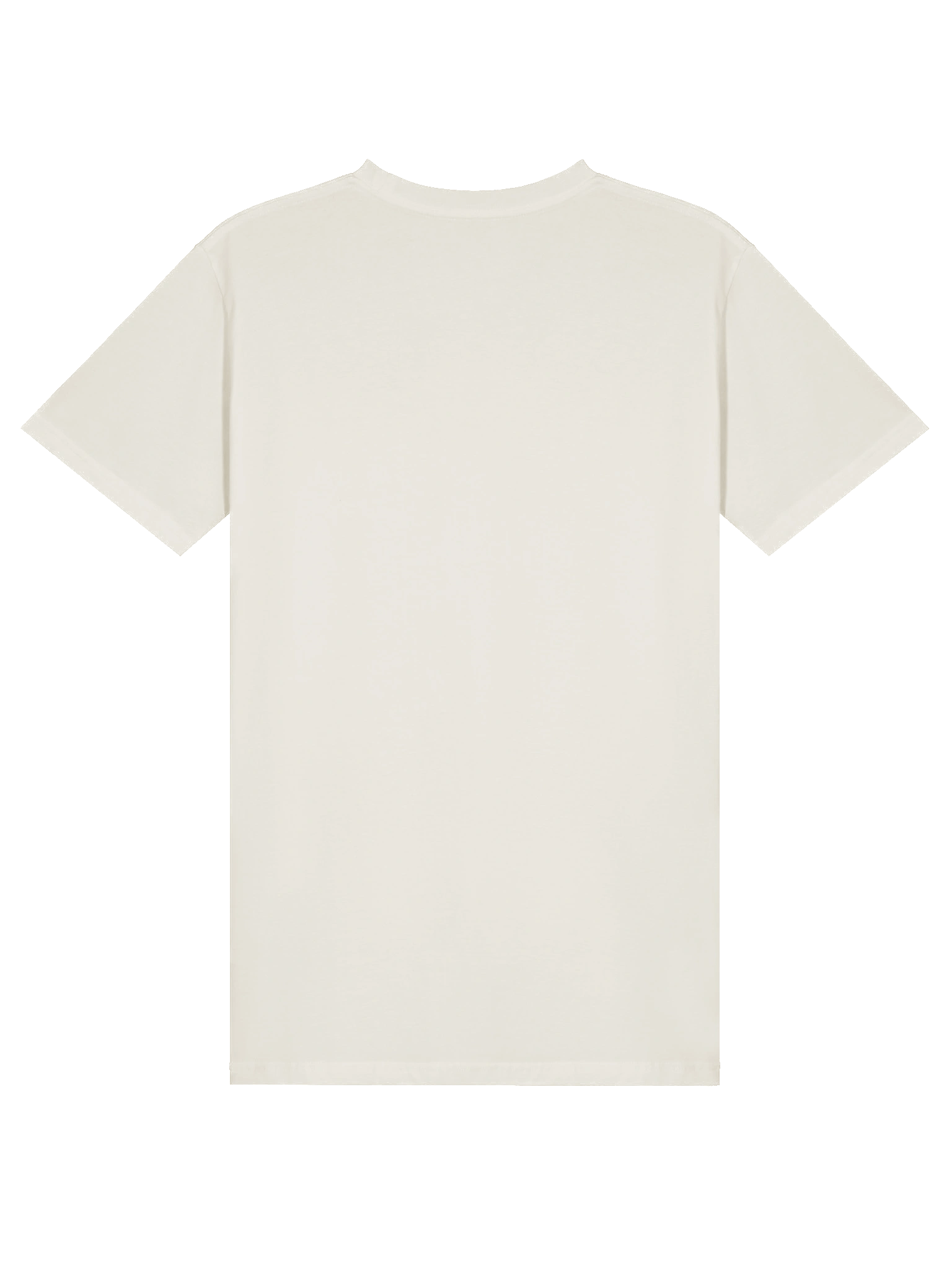 Whimsical Parchment Scroll Unisex T-Shirt product image (16)