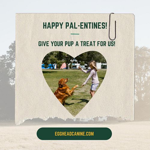 Love is in the air and it is the LAST DAY to take advantage of our ONLY sale of the year!

You can give your pup all the trea...