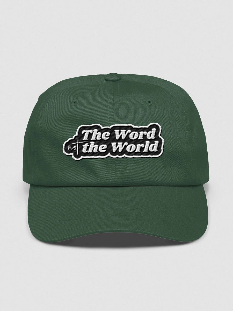 Hat: The World Not the World (more colors available) product image (1)