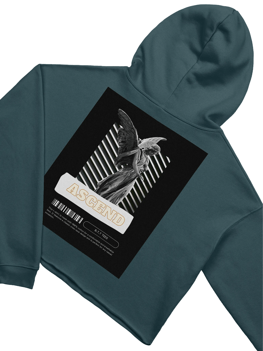 B.T.T. Tees Logo Crop Hoodie product image (25)