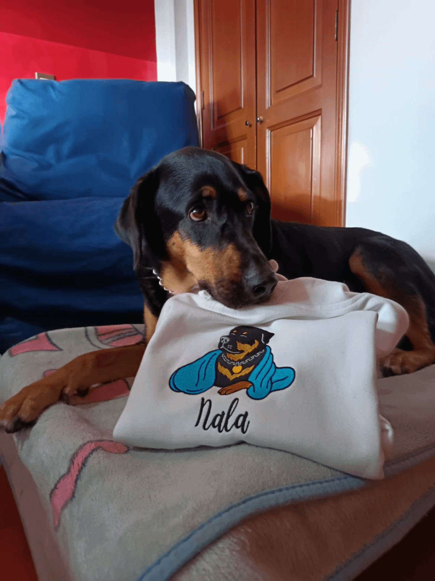NALA💙 / EMBROIDERED HOODIE product image (3)