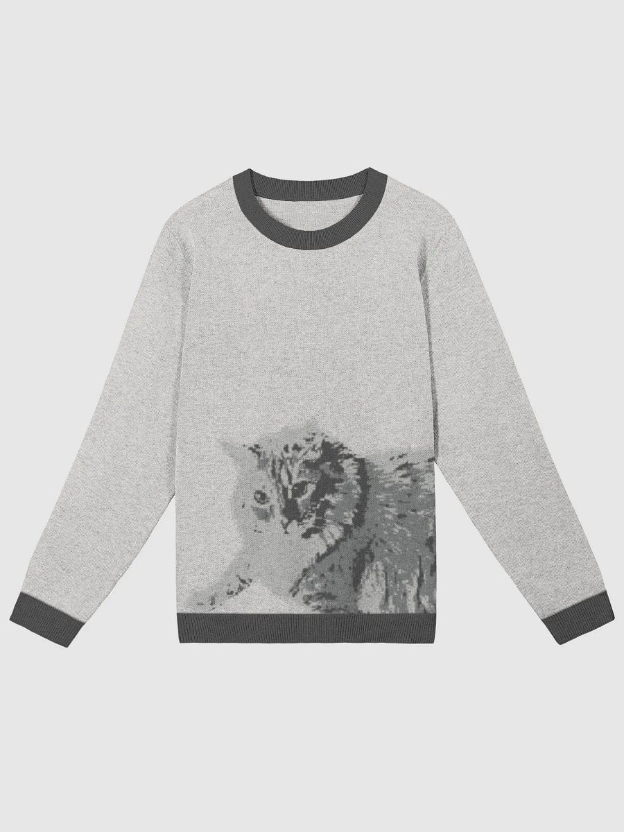 Meonochromeowtic Sweater product image (5)