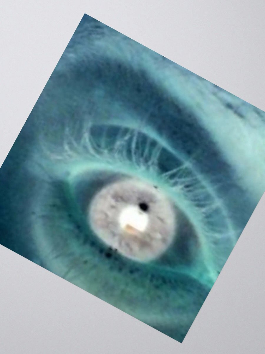 The Watchful Eye product image (2)