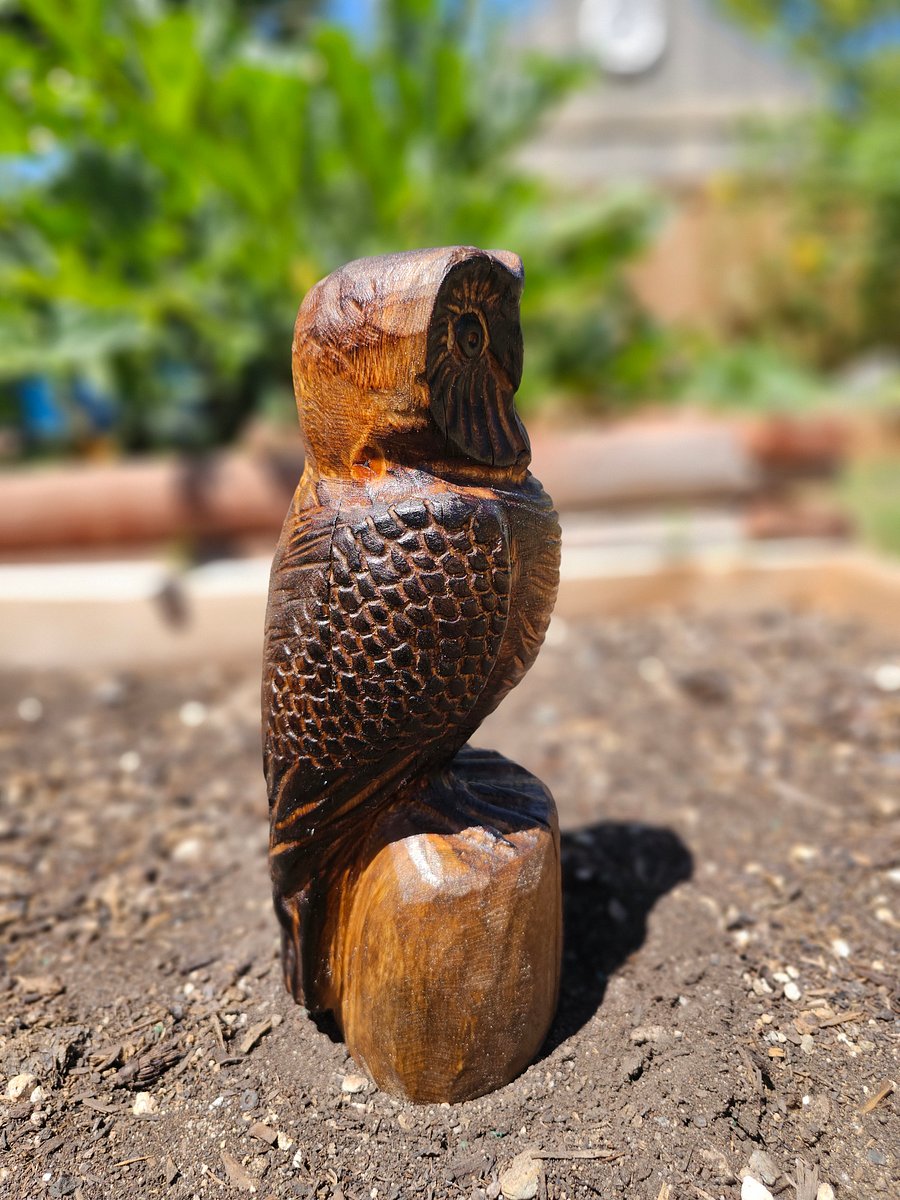 Wood Carved Owl! product image (4)