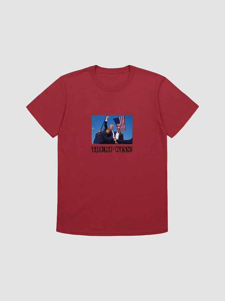 Trump Wins product image (1)