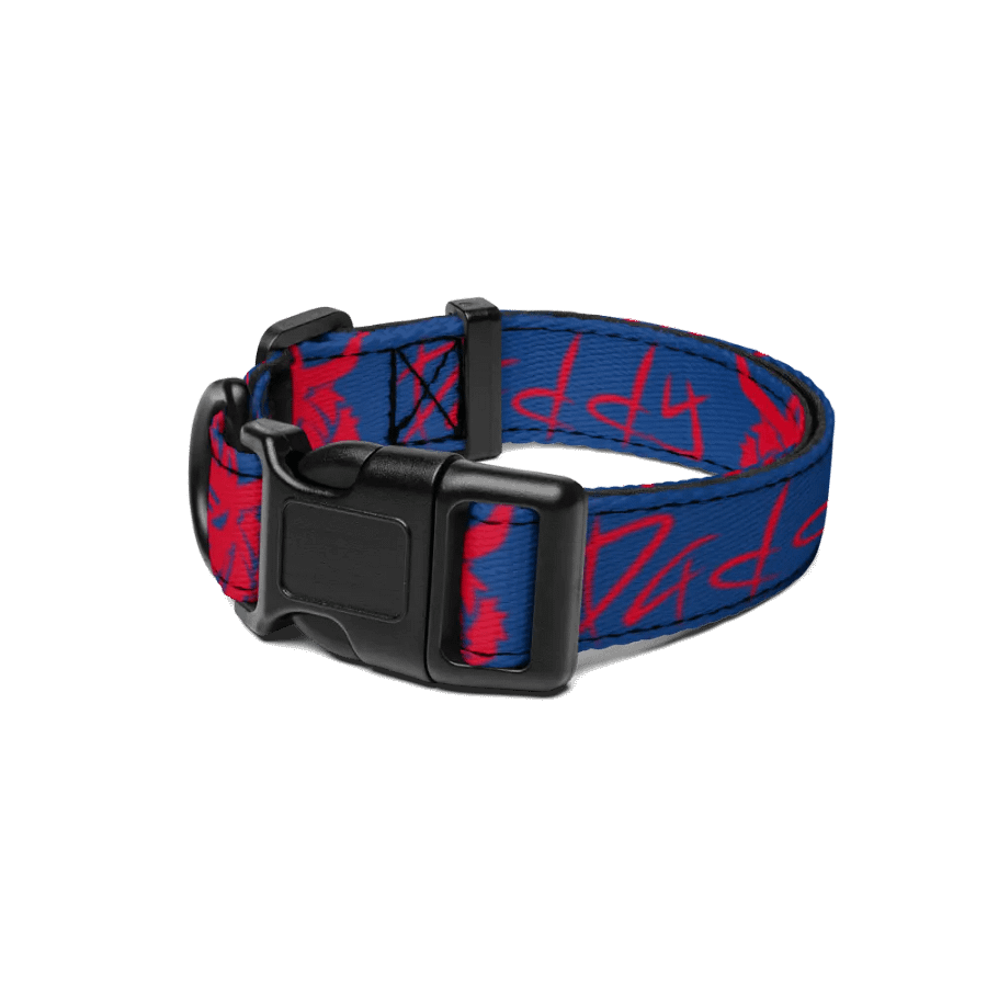 Demon Daddy Collar product image (1)
