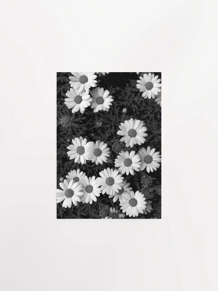 Margaritas - Enhanced Matte Paper Poster product image (1)