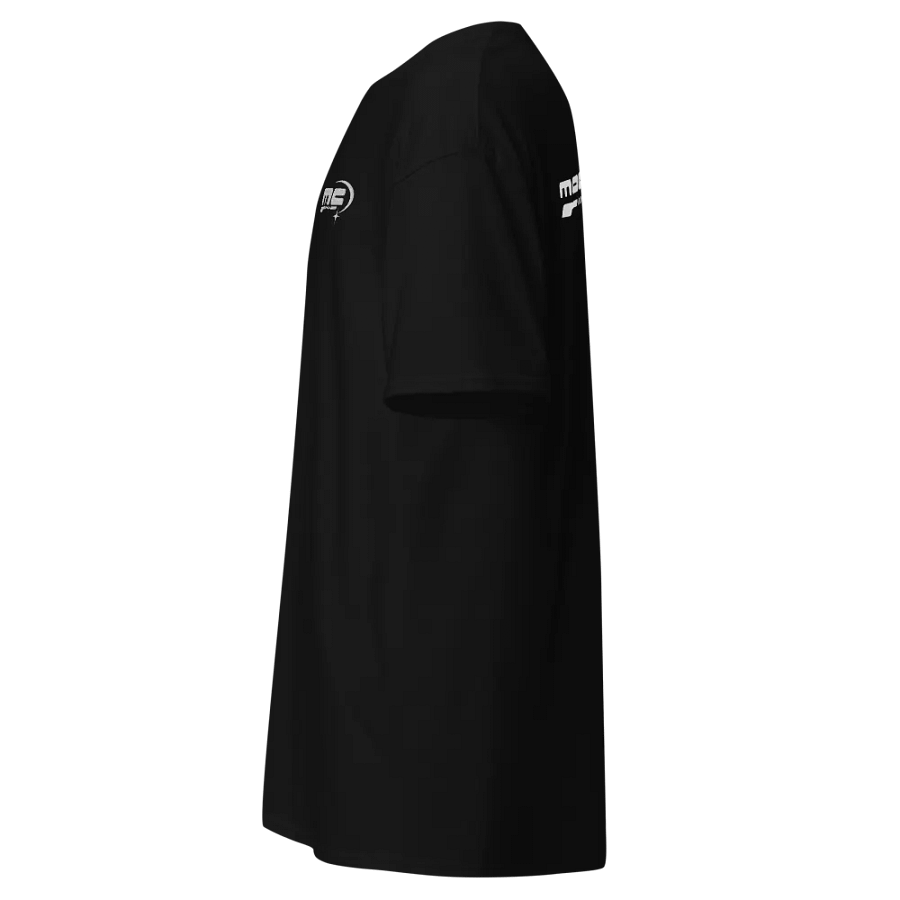BEEFY TEE product image (12)