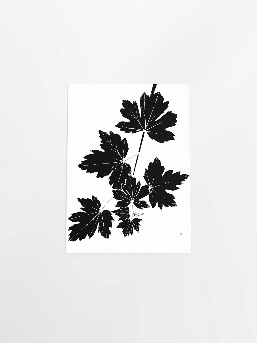 Luminous Leaf Cluster Matte Poster - Grape Leaves Light product image (4)