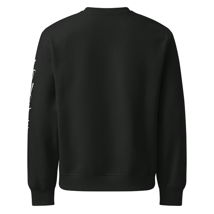 WIDSY Sweatshirt product image (2)