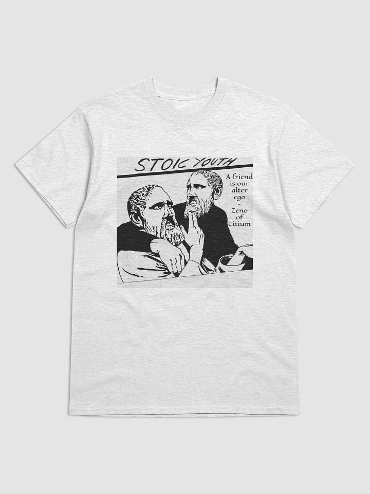 Stoic Youth Zeno of Citium quote Gildan Heavyweight T-Shirt product image (1)