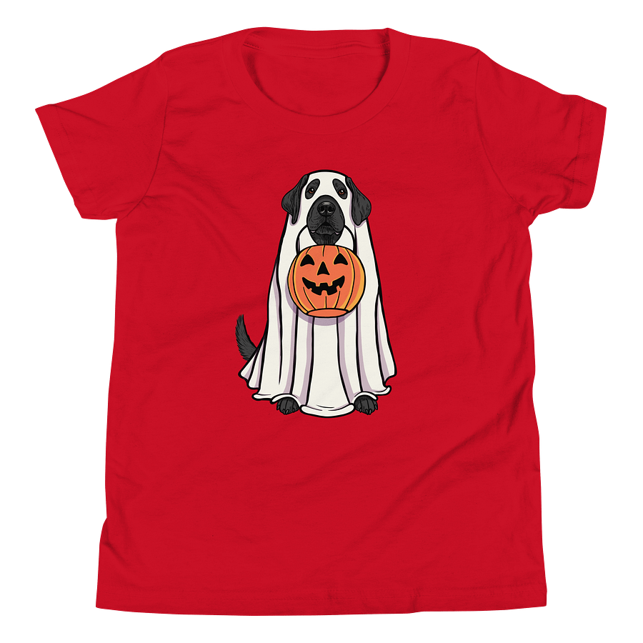 Halloween Labrador Retriever(Black) Youth T-Shirt product image (24)