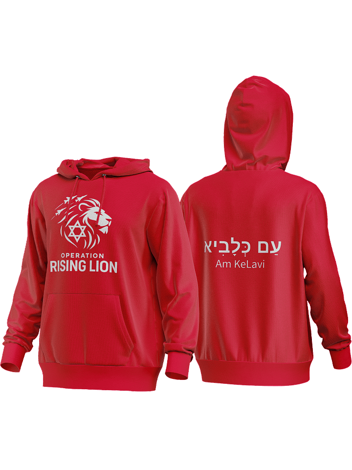 "OPERATION RISING LION" (WHITE EMBLEM) Hoodie product image (6)
