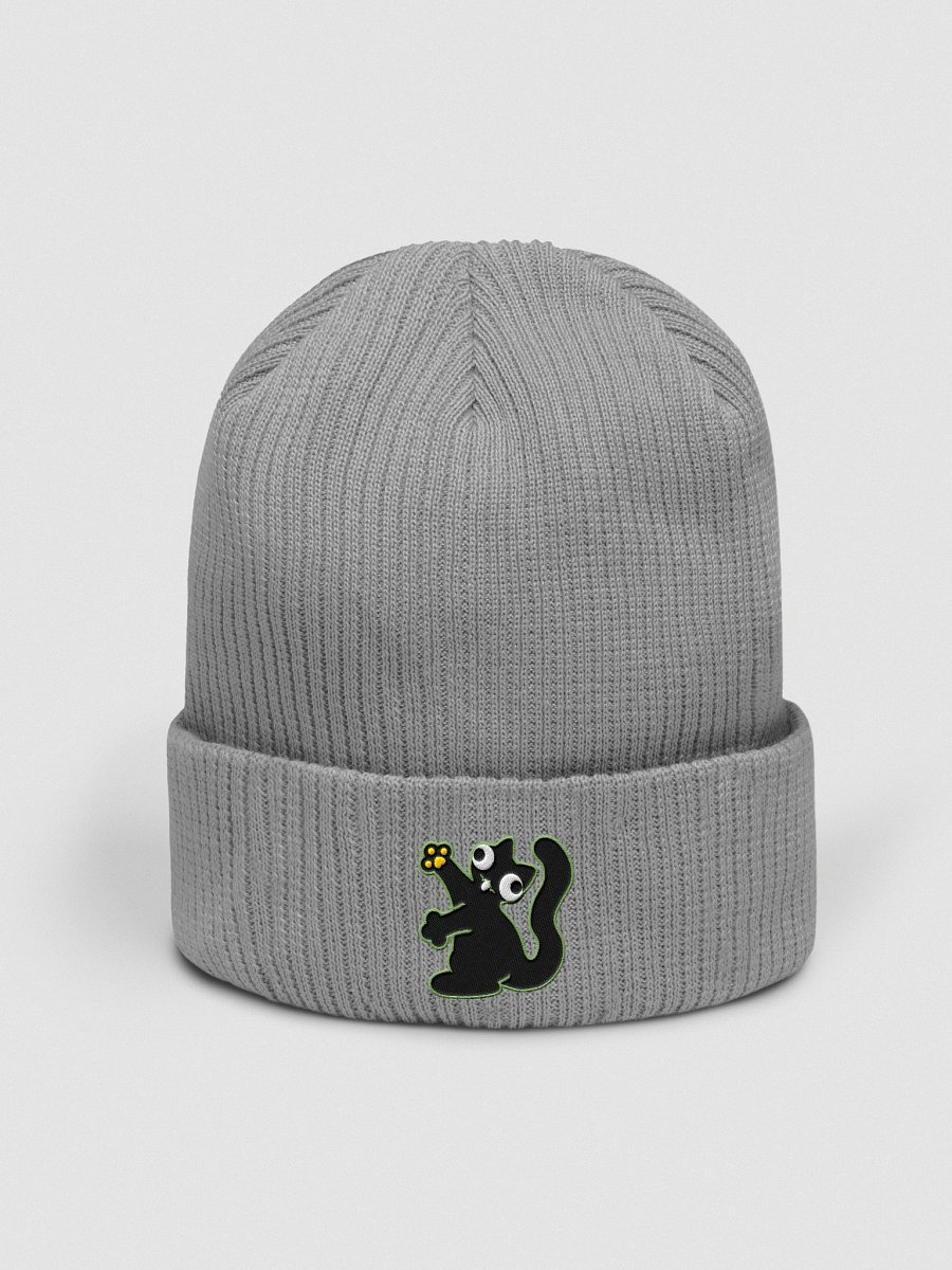 Beanie - DerpCat II product image (46)