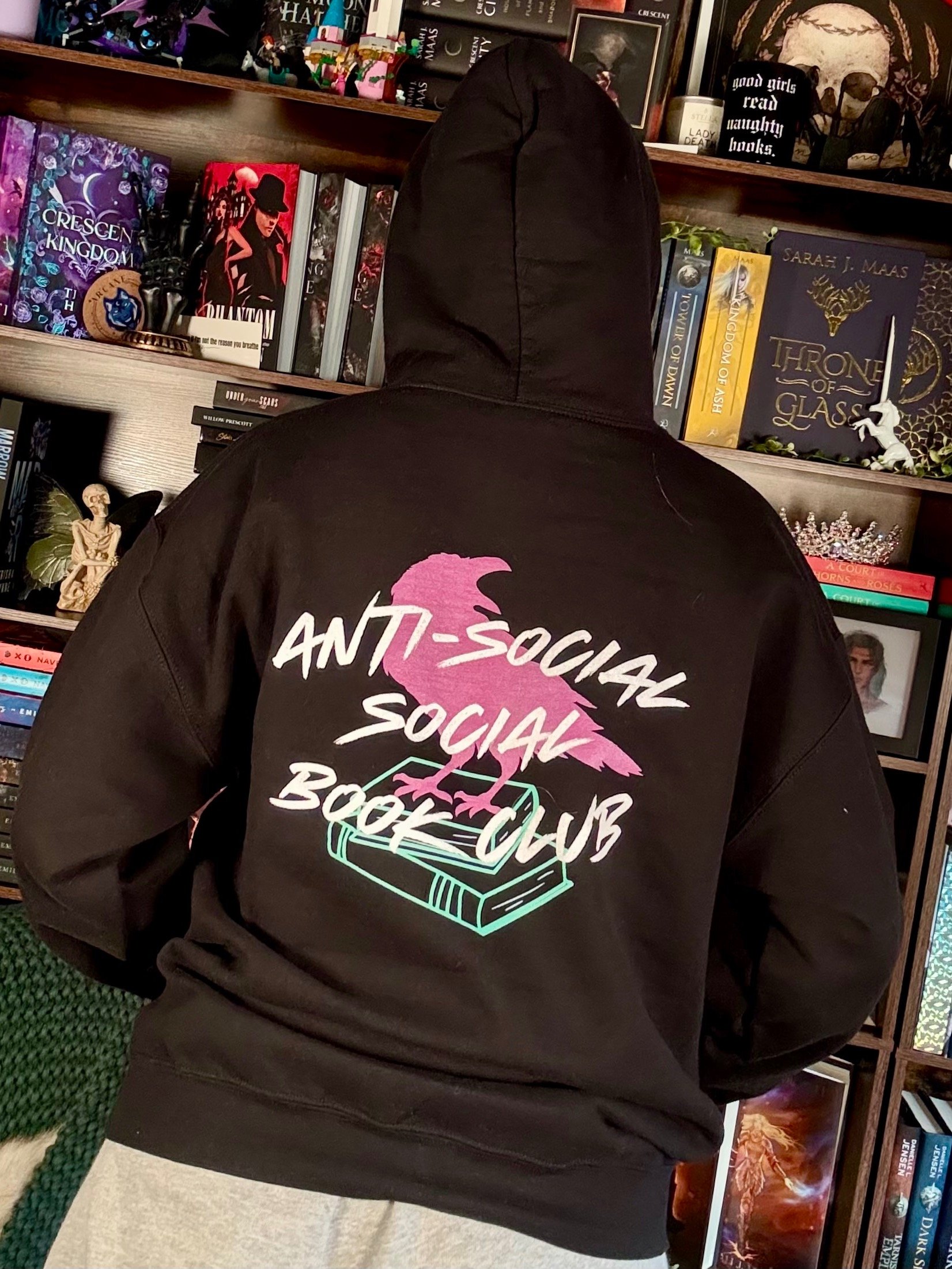 PULLOVER Hoodie Besties Color Anti Social Crow product image (3)