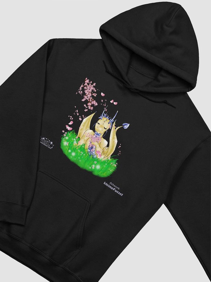 JenaCo III - Hoodie product image (1)