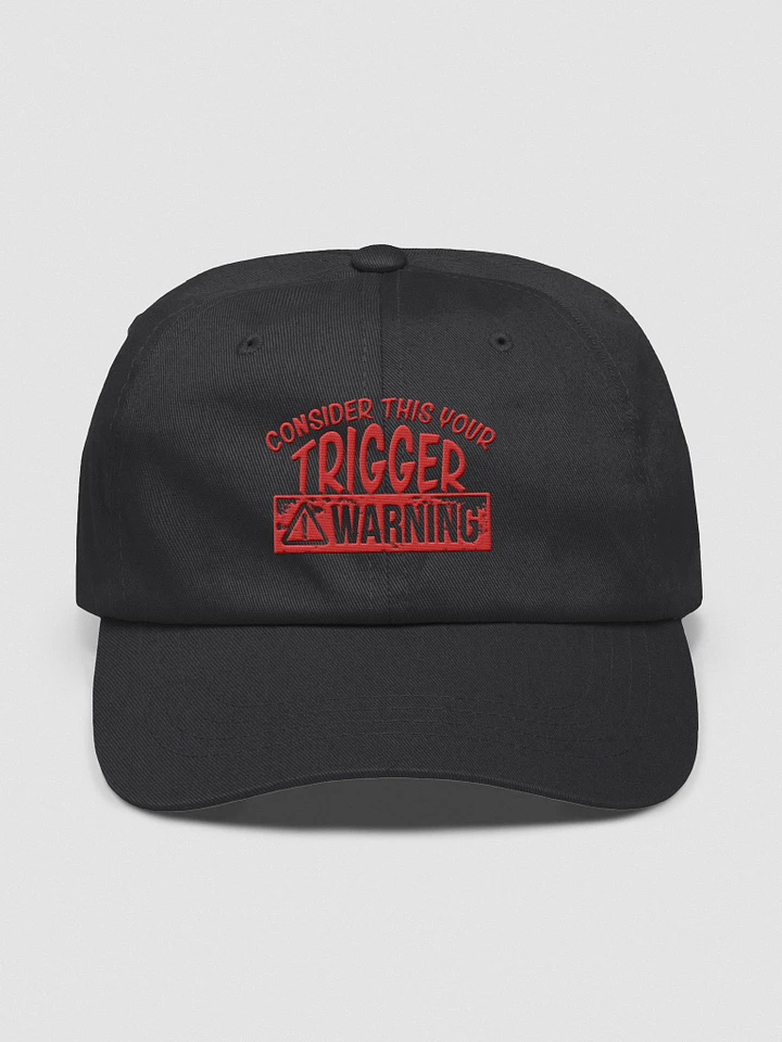 Consider This Your Trigger Warning Hat product image (3)