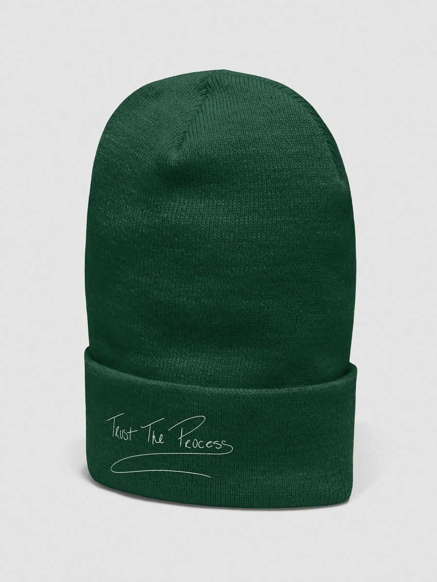 TTP BEANIE product image (22)