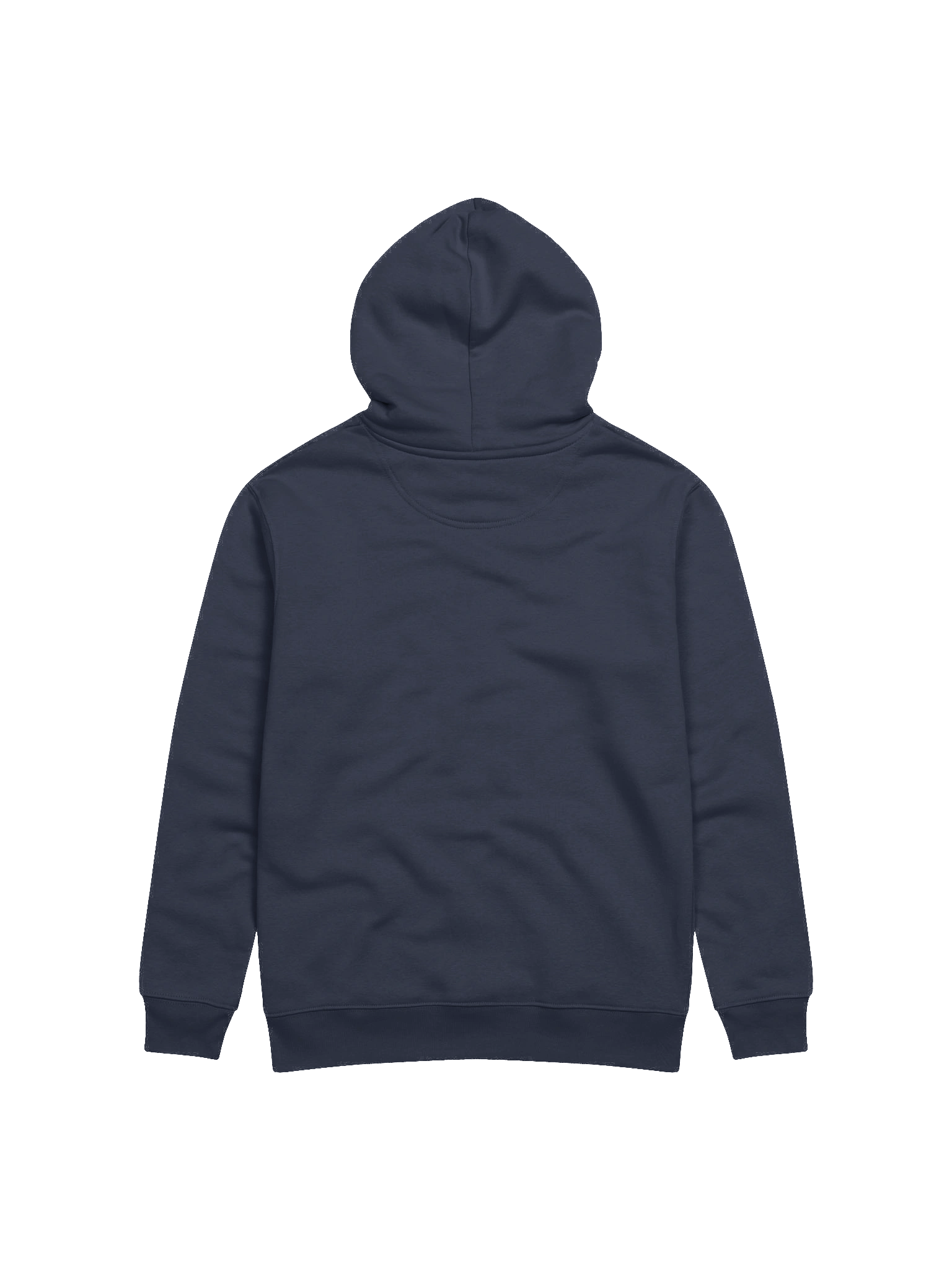 Salt & Light Hoodie product image (6)