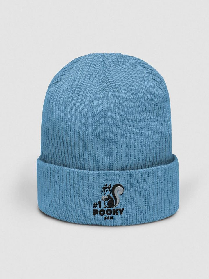 Organic Cotton Embroidered Beanie: #1 Pooky Fan 20s illustration style product image (1)