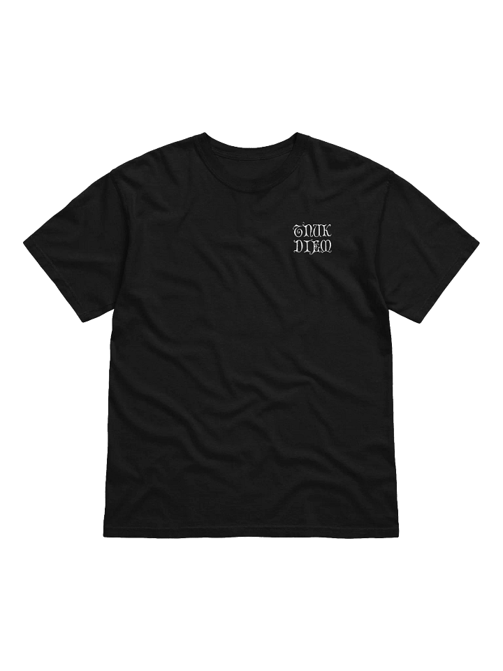 TNUK DIEM ˢᵐᵃˡˡ - HEAVYWEIGHT T-SHIRT product image (4)