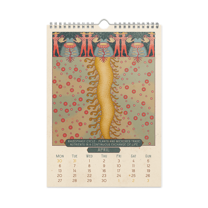 Myanmar Soil Health 2026 Calendar product image (1)