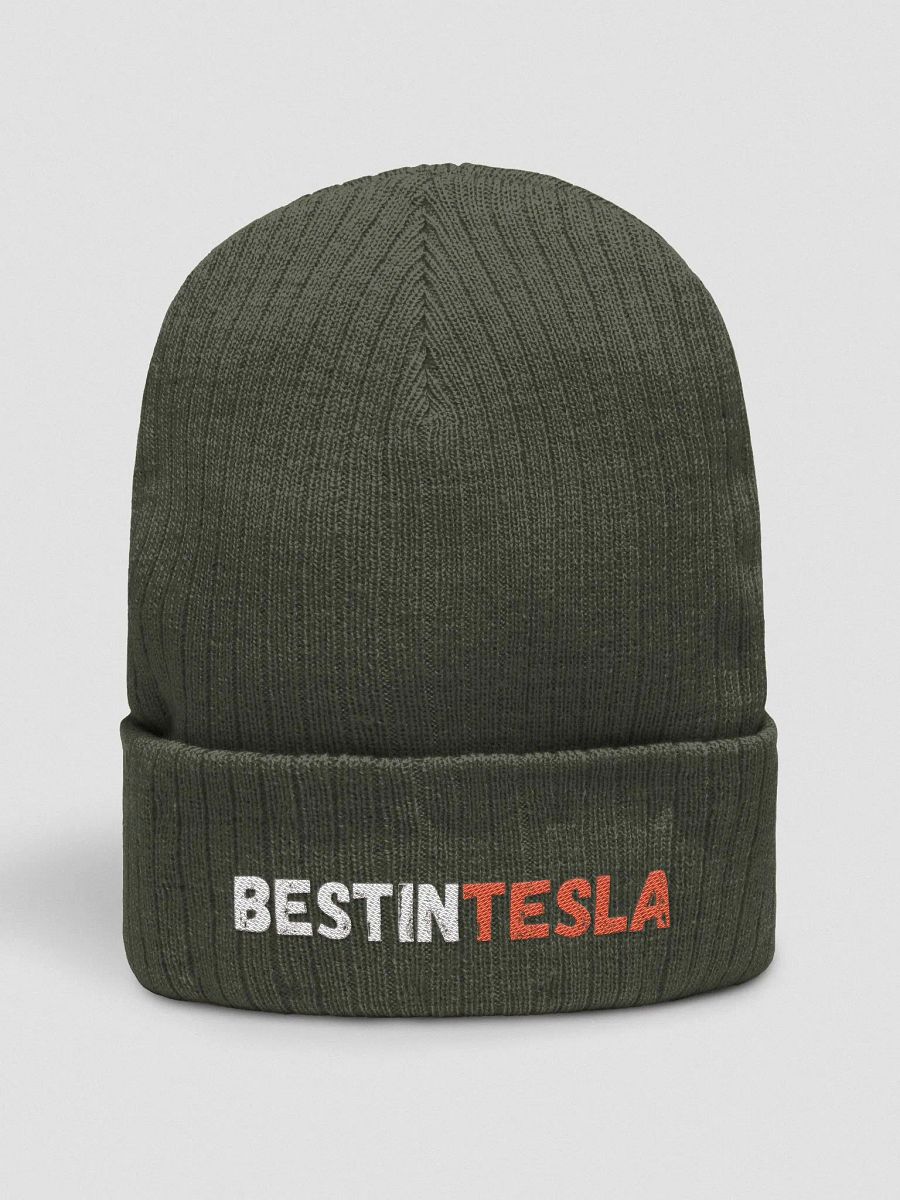 BestInTESLA Atlantis Recycled Cuffed Beanie product image (2)