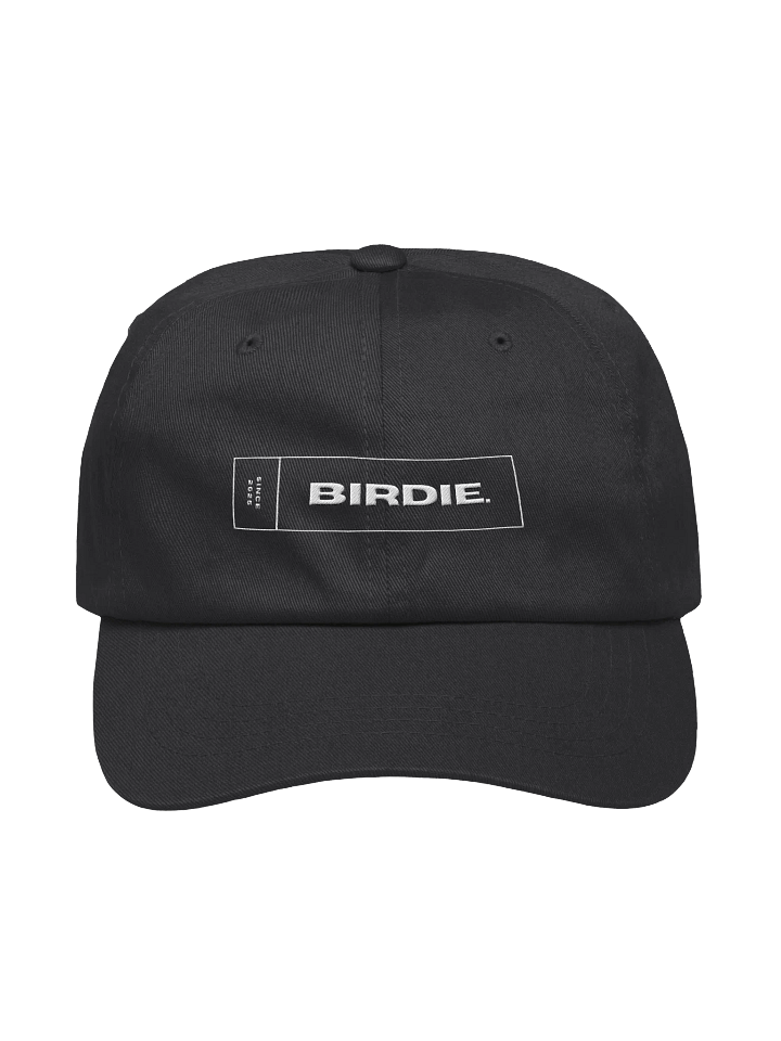 Classic Dad Hat product image (1)