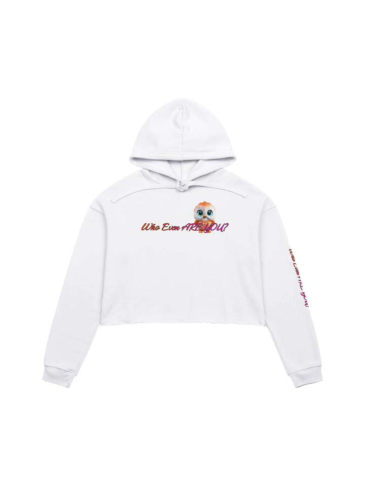 Mystery Babe Crop Hoodie product image (2)