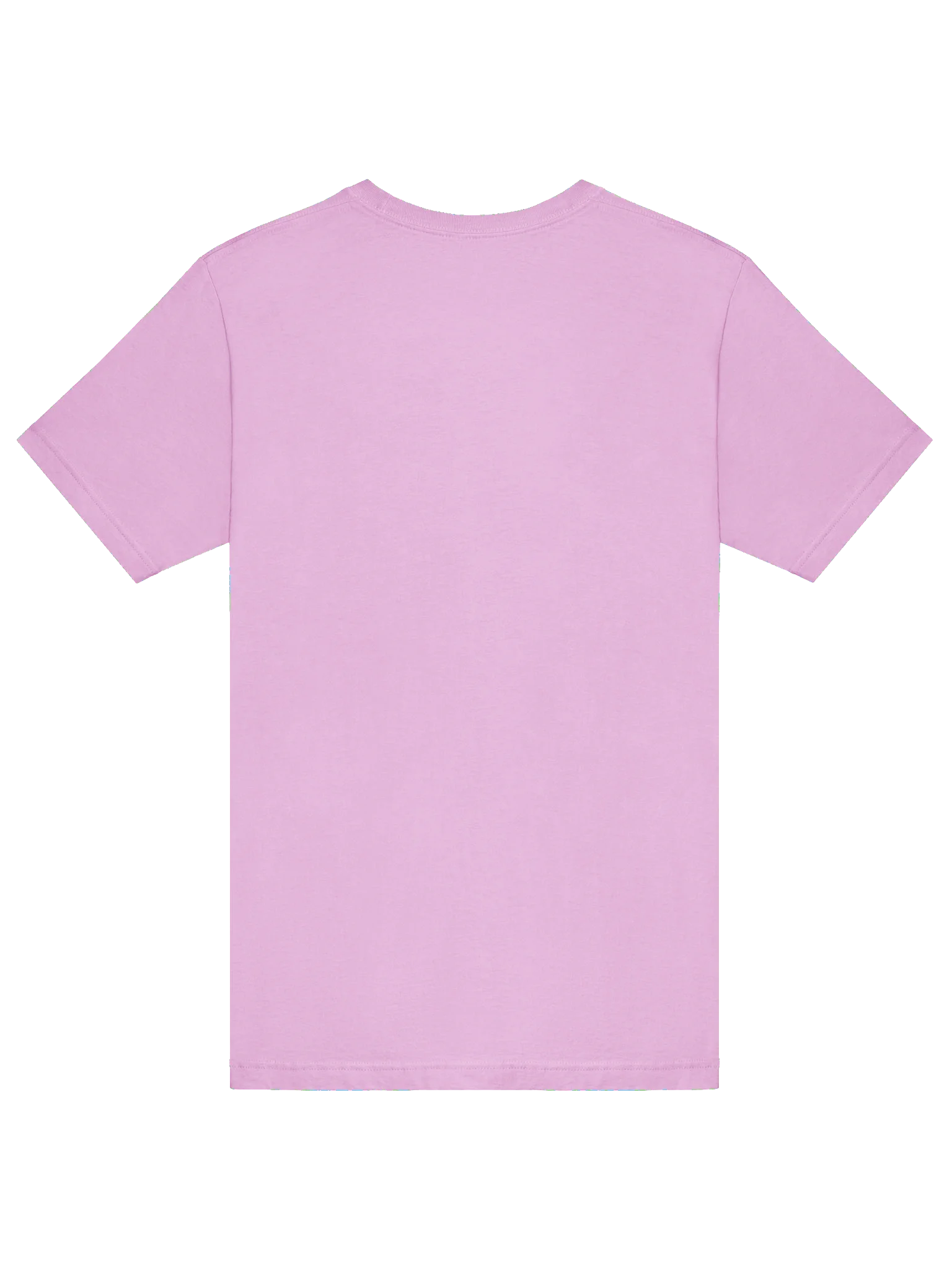 Chonky Unicorn T-Shirt product image (31)