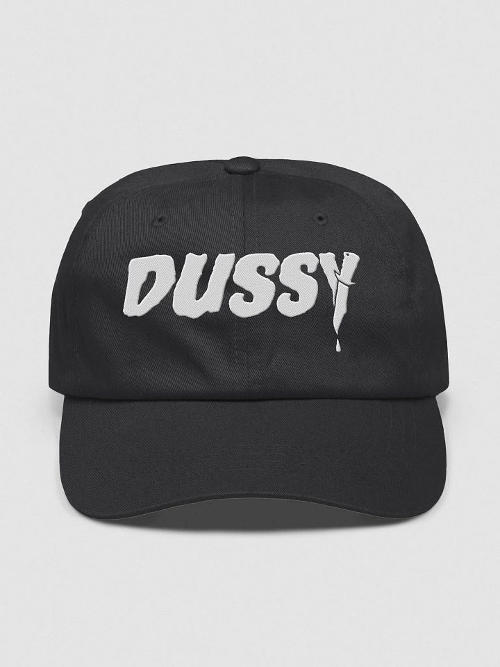 Embroidered Dussy 2025 Hat product image (2)