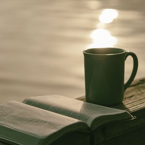 What’s your go-to reading routine?
Is it settling into your favorite chair, grabbing a coffee, or getting some quiet time out...
